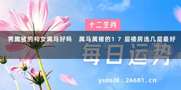 男属猪的和女属马好吗 属马属猪的17层楼房选几层最好